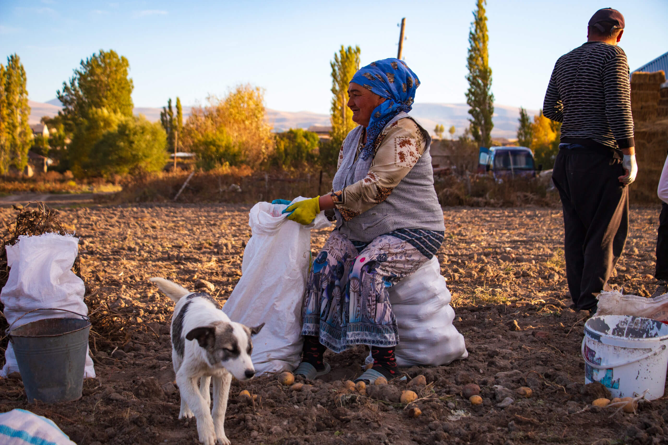 sos-chretiens-orient-armenie-village-torfavan-femme-armenienne-recolte-pommes-de-terre
